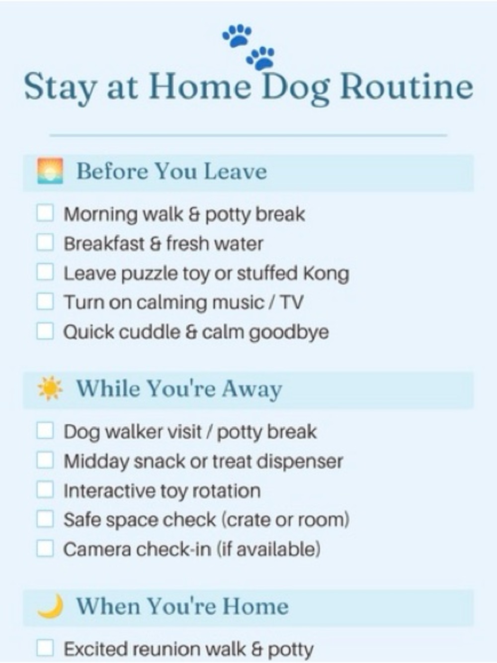 Daily dog routine bundle